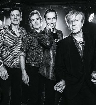 the fleshtones